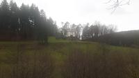 Neujahrs-Spaziergang zum Wasserschloss Mespelbrunn (Gruftkapelle)