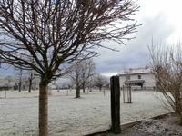 Neujahrsmorgen in Happing