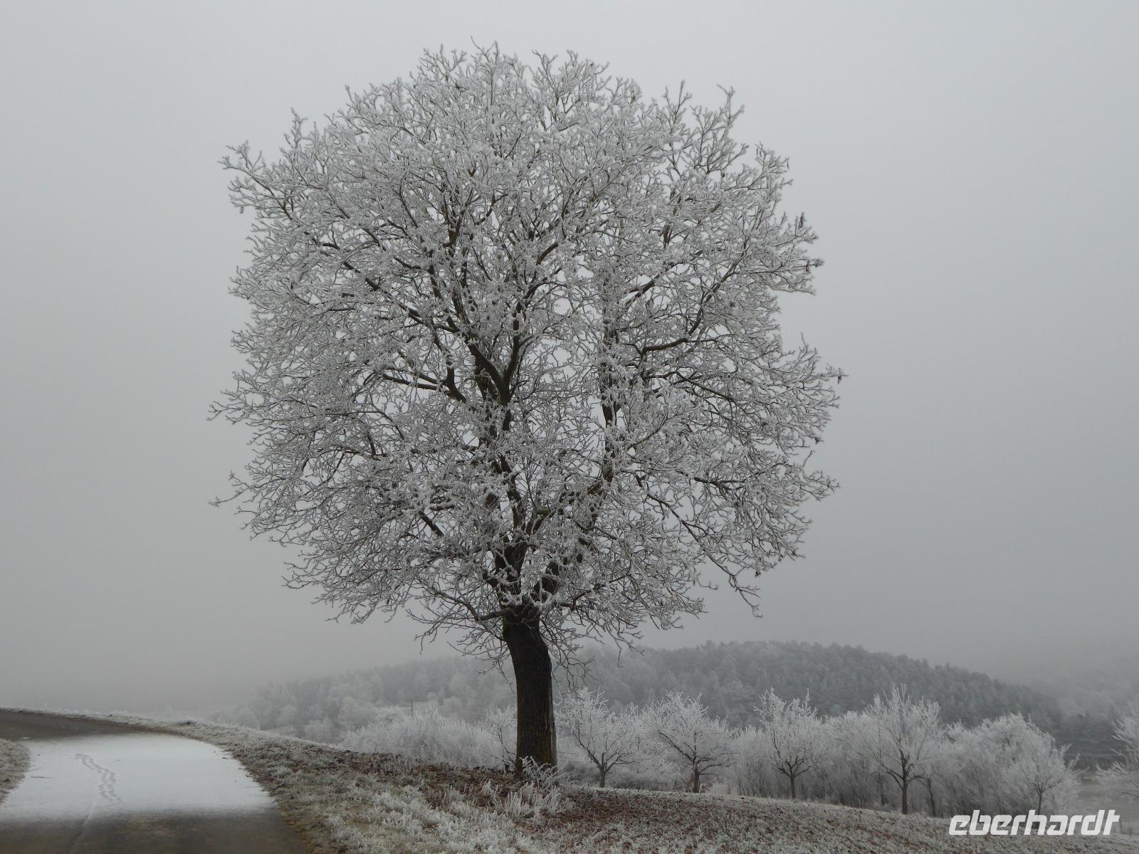 Neujahrsspaziergang