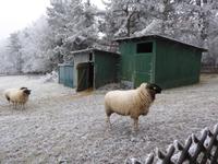Neujahrsspaziergang