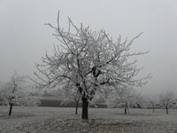 Neujahrsspaziergang