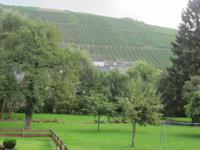 Neumagen-Dhron