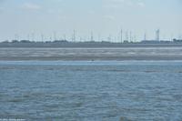 Ostfriesland