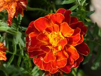 P1150234