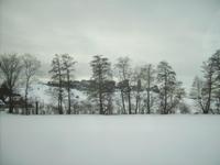 PICT0071