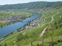 Piesport