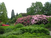Planten u.Bloomen