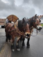 Planwagen Fahrt