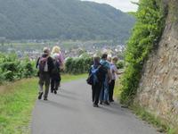 Rücktour nach Karden