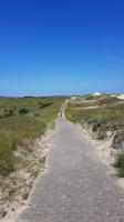 Radtour durch die Dünen Norderneys - UNESCO Weltnaturerbe - Nationalpark Niedersächsisches Wattenmeer