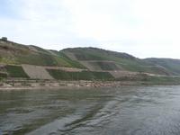 Rheinschifffahrt