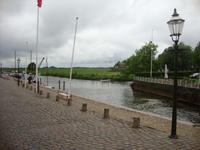 Ribe