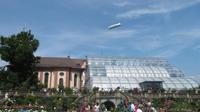 Rosengarten, im Hintergrund das Palmenhaus und Schloßkirche