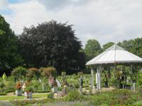 Rosengarten