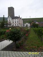 Rosengarten