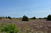 Rundgang Spiekeroog