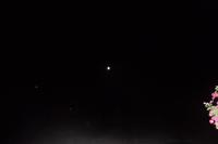 SAM_0916