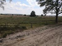 Sand in der Heide