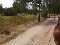 Sandige Heide
