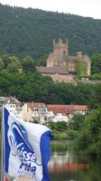 Schifffahrt auf dem Neckar
