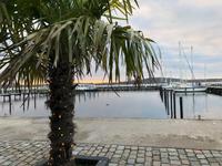 Schleswig