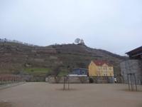 Schloss Wackerbarth