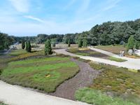 Schneverdingen Heidegarten