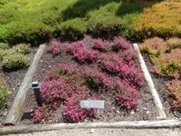 Schneverdingen Heidegarten