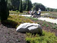 Schneverdingen Heidegarten