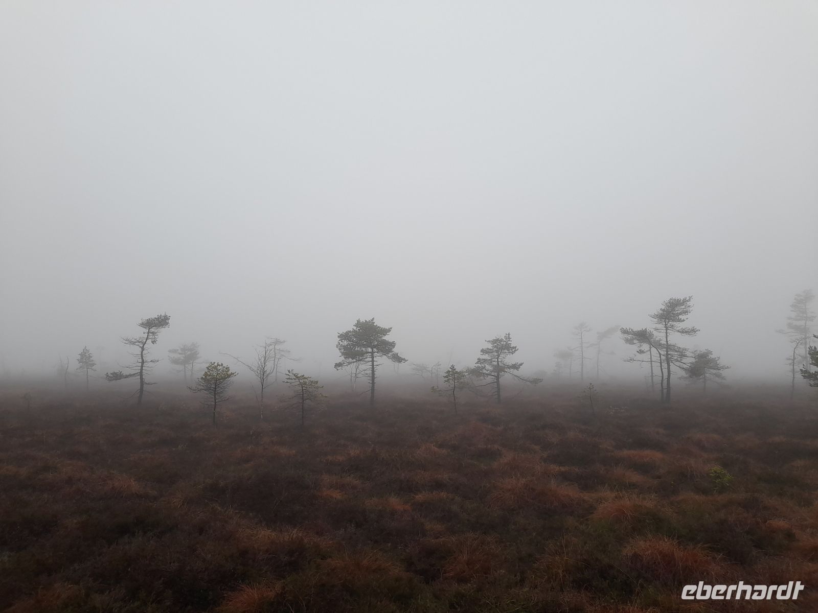 Schwarzes Moor