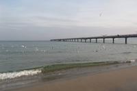 Seebrücke 
