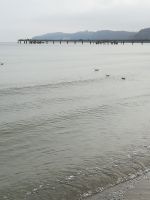 Seebrücke