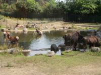 Serengeti-Park Hodenhagen