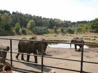 Serengeti-Park Hodenhagen