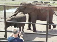 Serengeti-Park Hodenhagen