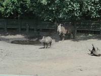 Serengeti-Park Hodenhagen