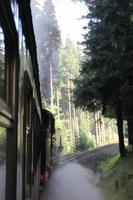 Single-Aktiv-Tag, Fichtelbergbahn