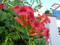 Sommerzeit