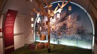 Sonderausstellung Ehrenbreitstein