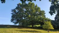 Sonne satt zum Abschluss unserer Wanderung