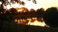 Sonnenuntergang an der Aller