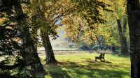 Spaziergang zum Schloss Herrenchiemsee