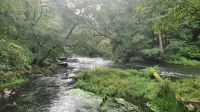 Spaziergang zum Warnow-Durchbruchstal (2)