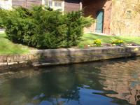 Spreewald
