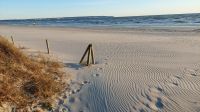 Spuren im Sand
