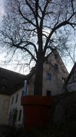 Stadtführung durch Erfurt