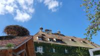 Storchenkolonie beim Affenberg Salem