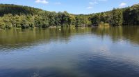 Storchensee beim Affenberg Salem
