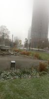 Tag 10 Blick auf den Platz der Republik in Frankfurt am Main 