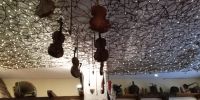 Tag 2 - Hängende Geigen im Weingut Runge Dürrfeld 
